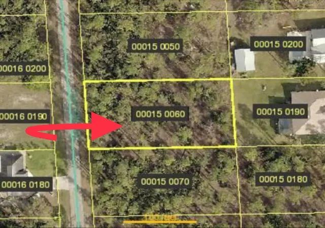 Homes for sale in Alva, FL | 2112 Canton Ave, Alva, FL 33920 | MLS# R11130519