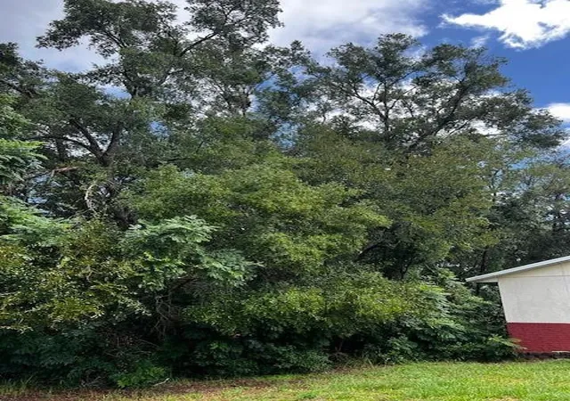 3rd image of 000 Silver Course Loop, Ocala, FL 34472 | MLS# F10530362
