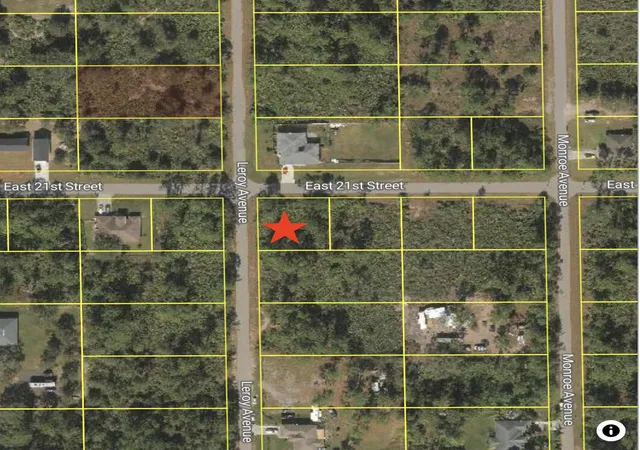 Homes for sale in Alva, FL | 3700 E 21st St, Alva, FL 33920 | MLS# R11131421