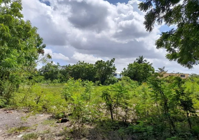 1st image of Autovia Del Este Autoria Del Este, Esto, FL 32425 | MLS# A11904371