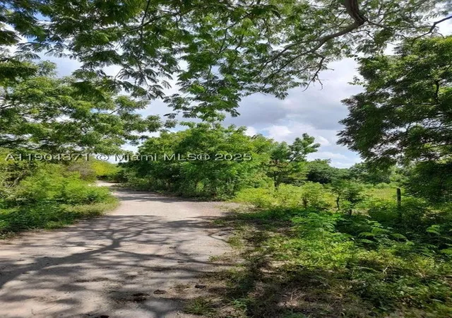 2nd image of Autovia Del Este Autoria Del Este, Esto, FL 32425 | MLS# A11904371