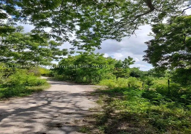 4th image of Autovia Del Este Autoria Del Este, Esto, FL 32425 | MLS# A11904371