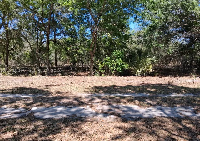 1st image of 2822 Yepremian Rd, Avon Park, FL 33825 | MLS# A11910390