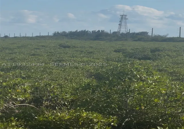 4th image of Unincorporated, Unincorporated,, Homestead, FL 33035 | MLS# A11932434