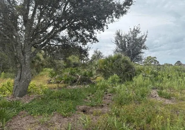 1st image of 0 302nd St, Okeechobee, FL 34972 | MLS# F10541751