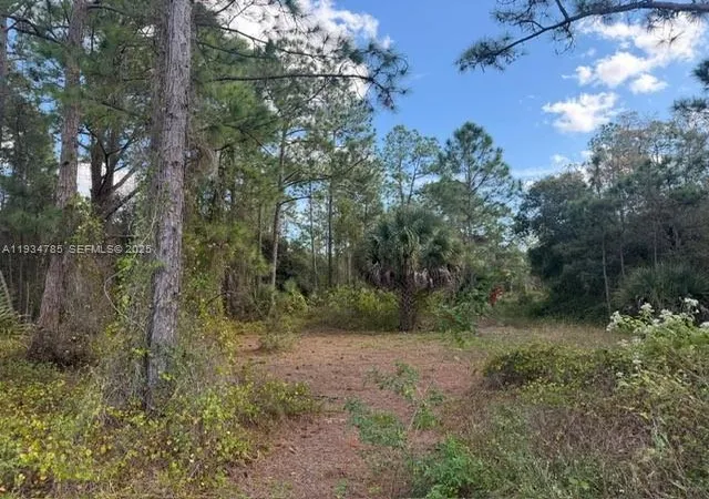 3rd image of 345 N Isora, Clewiston, FL 33440 | MLS# A11934785