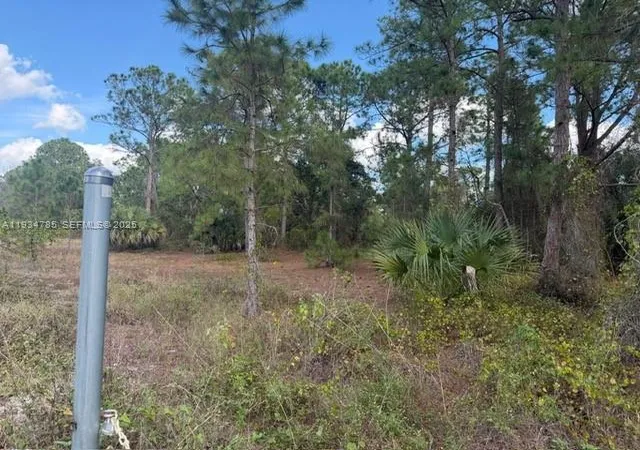 4th image of 345 N Isora, Clewiston, FL 33440 | MLS# A11934785