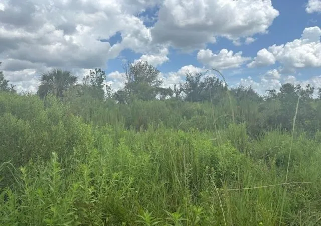 1st image of 0 312th St, Okeechobee, FL 34972 | MLS# F10543241