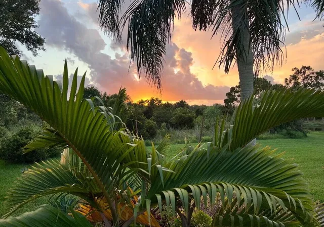 77th image of 8256 Se Paurotis Ln, Hobe Sound, FL 33455 | MLS# R11151584