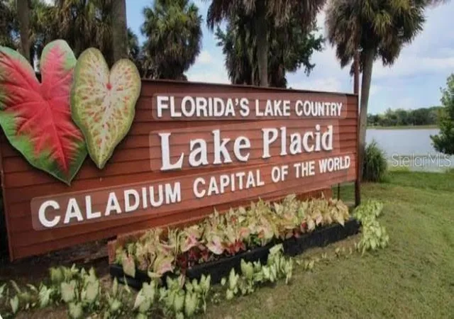 4th image of 450 Kemper Ave, Lake Placid, FL 33852 | MLS# R11152420