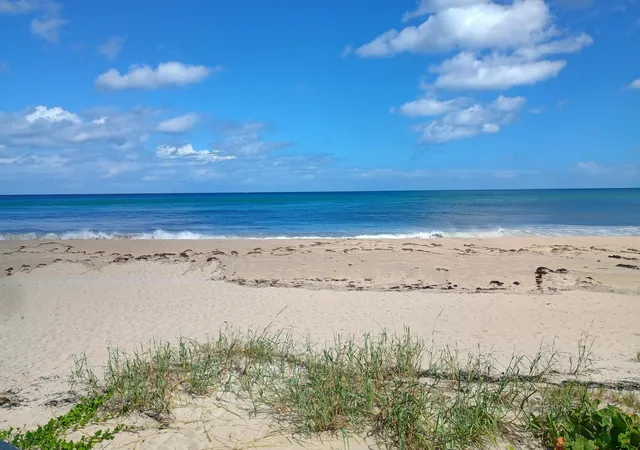 4th image of 5505 N Ocean Blvd #8-110, Ocean Ridge, FL 33435 | MLS# R11157297