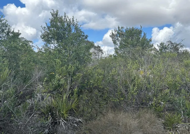 Homes for sale in Saint Cloud, FL | 0 Holopaw Groves Rd, Saint Cloud, FL 34772 | MLS# F10549383