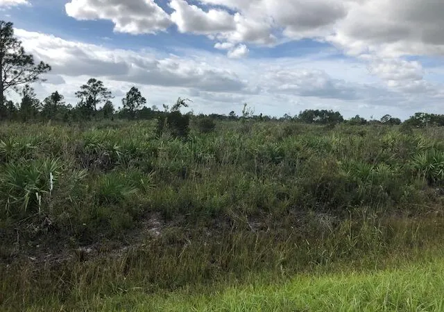 1st image of Tbd Undetermined, Citra, FL 32113 | MLS# R11159190