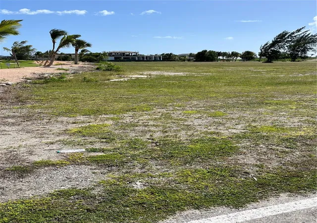 4th image of 2300 Juanillo Beach, Punta Cana, FL 32350 | MLS# A11958455