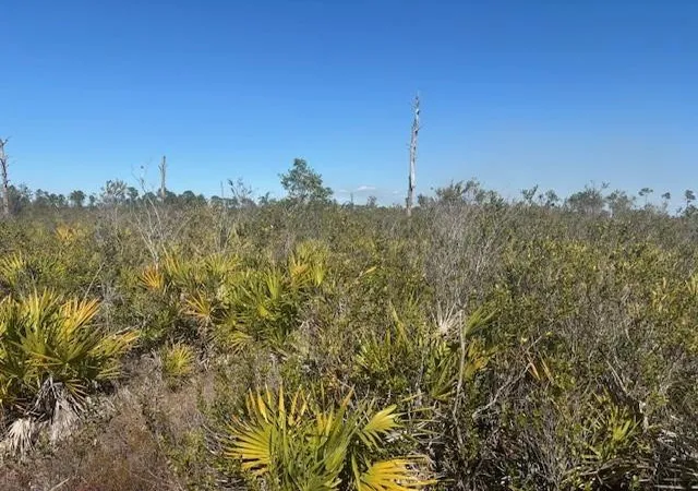 2nd image of 0 Hwy 630e, Frostproof, FL 33843 | MLS# F10550548