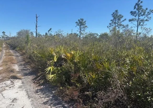 3rd image of 0 Hwy 630E, Frostproof, FL 33843 | MLS# F10550548