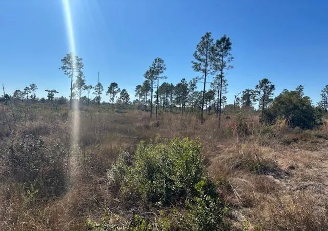 4th image of 0 Hwy 630E, Frostproof, FL 33843 | MLS# F10550548