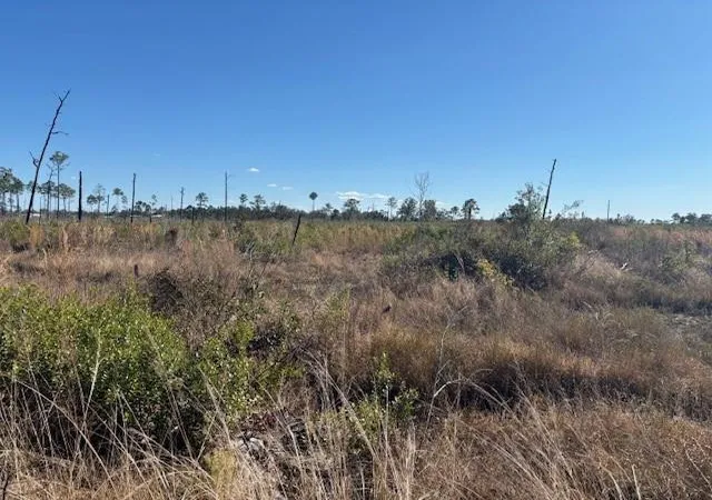 5th image of 0 Hwy 630E, Frostproof, FL 33843 | MLS# F10550548