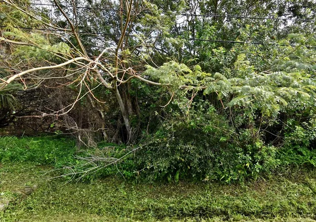 2nd image of 2516 Rolyat St, Fort Pierce, FL 34947 | MLS# F10552404