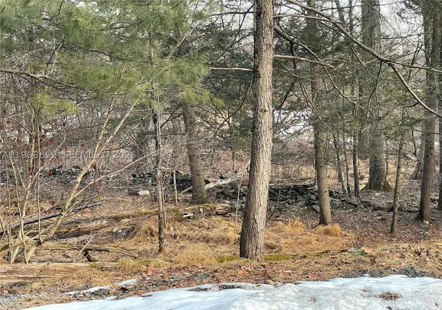 Photo 3 of Land for sale at 34 Iken Road, Kerhonkson, NY 12446 | MLS# A11968852 | Listing updated on 2026-05-18