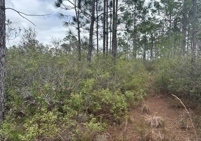3rd image of 0 Old Grade Rd, Polk City, FL 33868 | MLS# F10556222