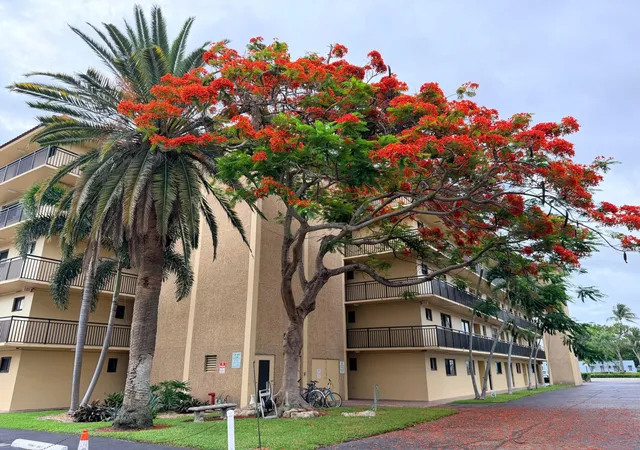 4th image of 2601 Ne 14Th St #340, Pompano Beach, FL 33062 | MLS# B26001183