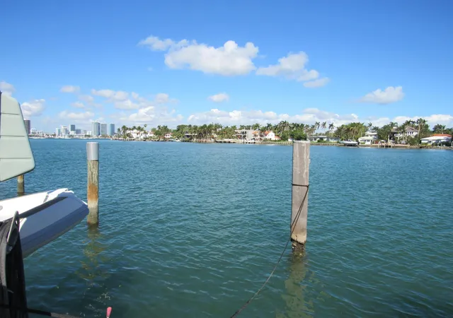 Homes for sale in Miami Beach, FL | 185 Palm Ave, Miami Beach, FL 33139 | MLS# B26002058