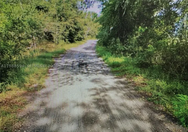 Photo 3 of Land for sale at 0 Se 29th Blvd, Sumterville, FL 33585 | MLS# A11988594 | Listing updated on 2026-09-28
