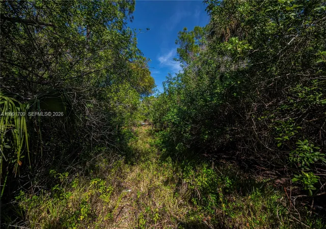 5th image of 850 G Rd, La Belle, FL 33935 | MLS# A11991709