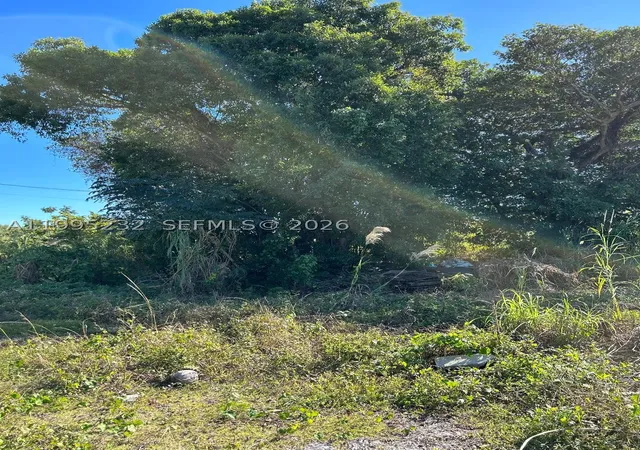 Photo 3 of Land for sale at 21820 Sw 112th Ct, Miami, FL 33170 | MLS# A11995232 | Listing updated on 2026-04-28