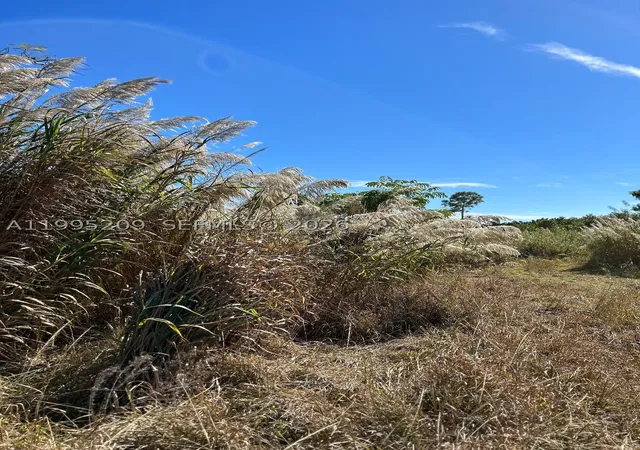 Photo 2 of Land for sale at 21861 Sw 112th Ct, Miami, FL 33170 | MLS# A11995209 | Listing updated on 2026-04-28