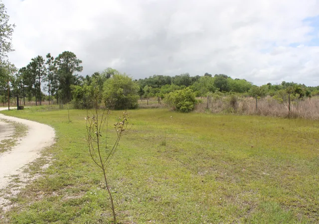 5th image of 15367 Nw 296Th St, Okeechobee, FL 34972 | MLS# B26013873