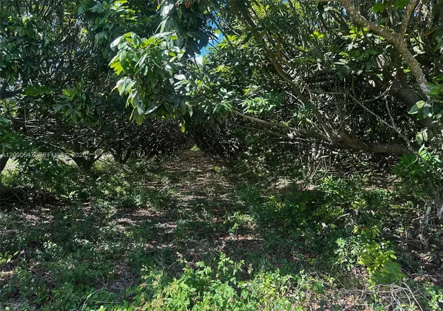 4th image of 226xx Sw 220 Av, Miami, FL 33170 | MLS# A12000647