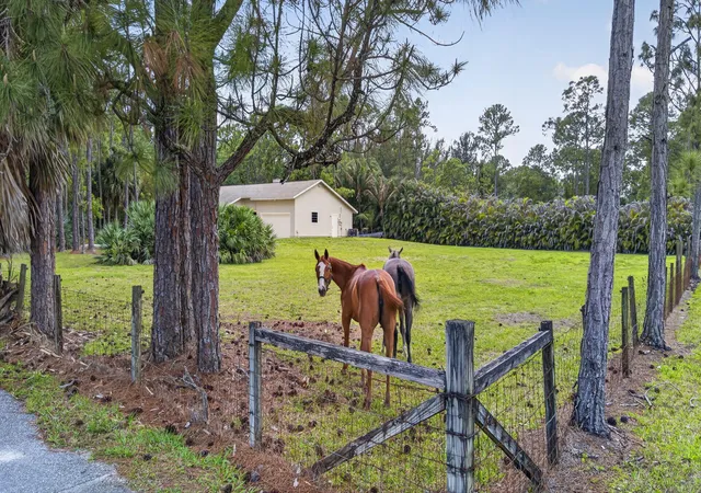 1st image of 6045 Hall Blvd, Loxahatchee, FL 33470 | MLS# B26017608