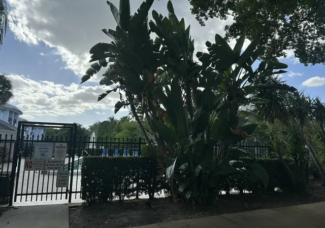 77th image of 701 N Pine Island Rd #304, Plantation, FL 33324 | MLS# B26018594