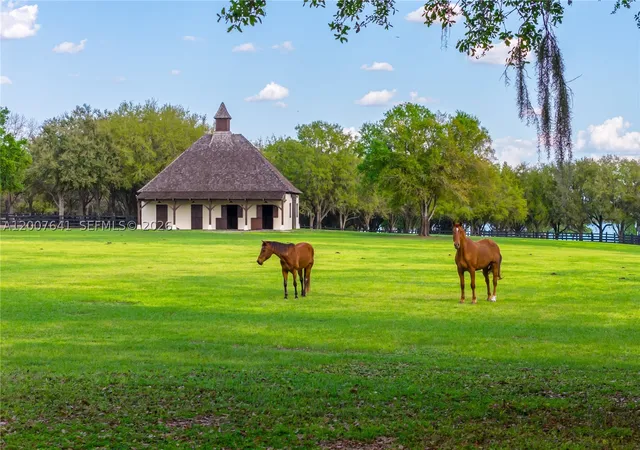 Photo 3 of Single family home for sale at 12321 Fort King Hwy, Thonotosassa, FL 33592 | MLS# A12007641 | Listing updated on 2026-08-25