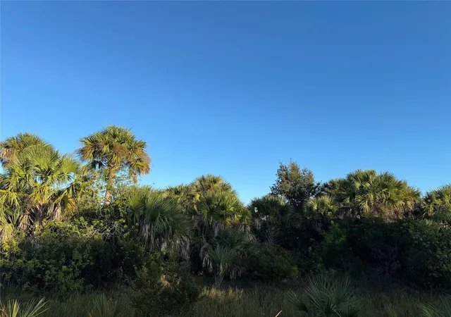 1st image of 2025 Cabbage Ln, Okeechobee, FL 34974 | MLS# B26021428