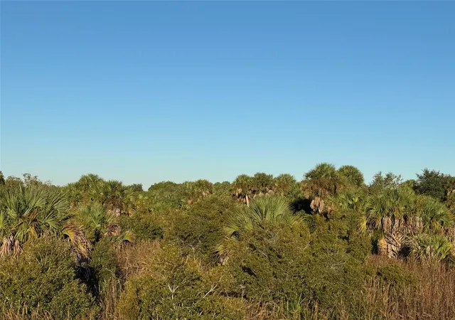4th image of 2025 Cabbage Ln, Okeechobee, FL 34974 | MLS# B26021428
