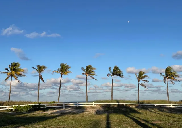46th image of 4629 Poinciana St #317, Lauderdale By The Sea, FL 33308 | MLS# B26022681