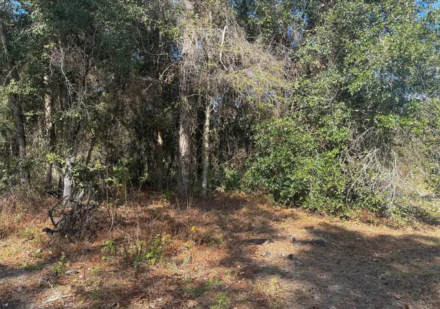 Homes for sale in Homosassa, FL | 7178 W Wildfire Ln, Homosassa, FL 34448 | MLS# B26023815