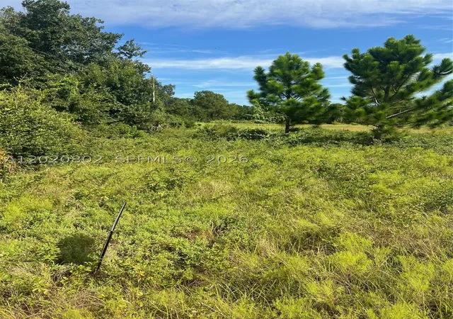 Photo 2 of Land for sale at Huntington Shortcut Rd, Crescent City, FL 32112 | MLS# A12020802 | Listing updated on 2026-05-18