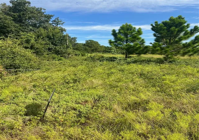 2nd image of Huntington Shortcut Rd, Crescent City, FL 32112 | MLS# A12020802