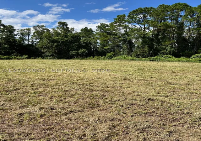 Photo 3 of Land for sale at Huntington Shortcut Rd, Crescent City, FL 32112 | MLS# A12020802 | Listing updated on 2026-05-18