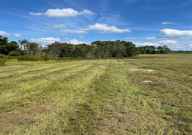 6th image of Huntington Shortcut Rd, Crescent City, FL 32112 | MLS# A12020802