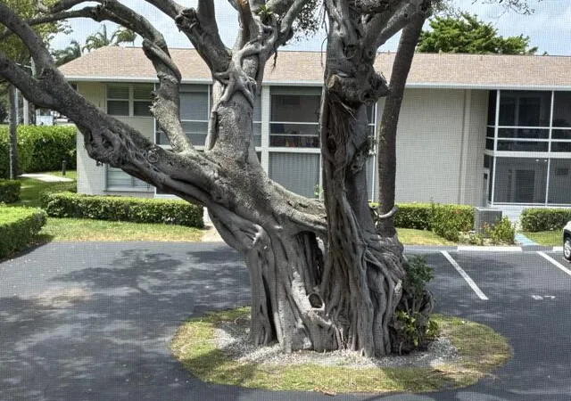 Homes for sale in Boynton Beach, FL | 620 Horizon W #202, Boynton Beach, FL 33435 | MLS# B26034177