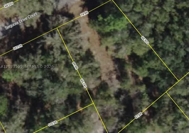 1st image of Lot 14 Sequoia Dr Court, Ocklawaha, FL 32179 | MLS# A12023595