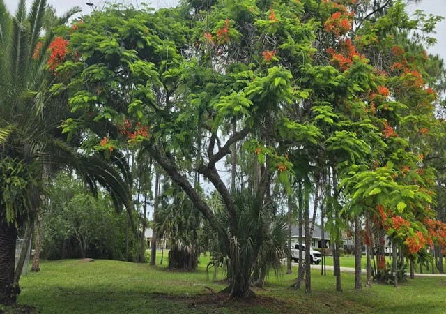 22nd image of 15779 77th Pl N, Loxahatchee, FL 33470 | MLS# B26035261