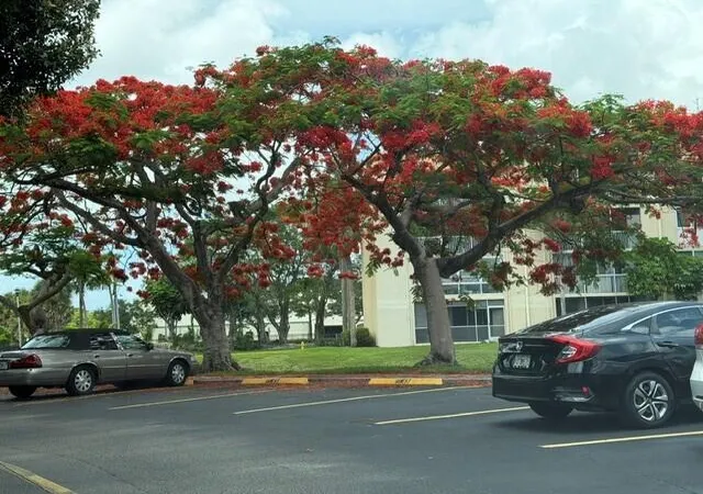 2nd image of 3341 Nw 47Th Ter, Lauderdale Lakes, FL 33319