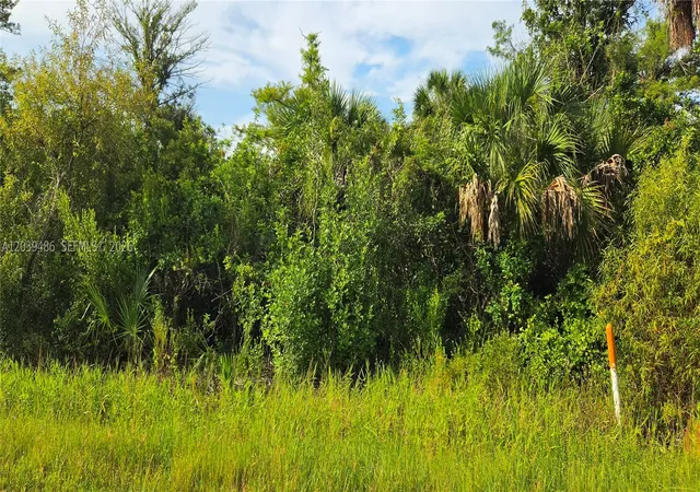 4th image of Xxxx Ne 45Th Ave, Naples, FL 34120 | MLS# A12039486