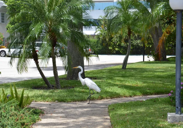 2nd image of 6345 Bay Clb Dr, Fort Lauderdale, FL 33308
